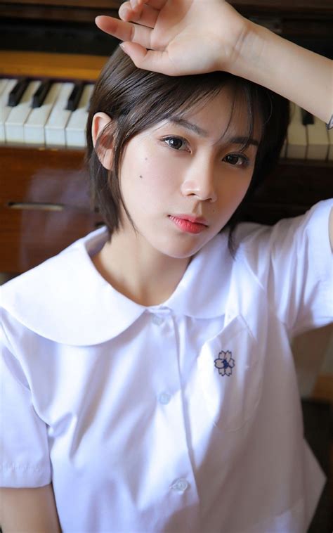 蜘蛛池的作用与功效是什么